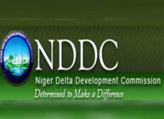 Ogbebor: It’s Delta’s Turn to Lead NDDC