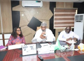 UNEMPLOYMENT: INTERIOR MINISTRY IS POSITIONED FOR JOB CREATION – SHUAIB BELGORE