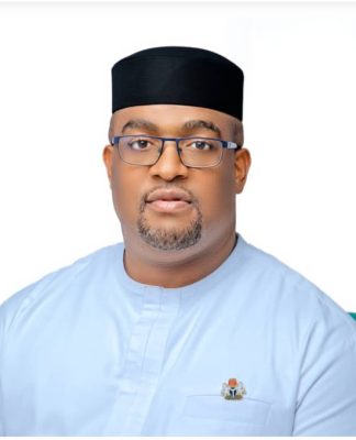 Imo Guber 2023: NNPP candidate appoints Senator Iroegbu as DG of campaign