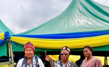 Lion Hadiza Abutu-Ibrahim: Bwari Area Council Chairman Commissions Landmark Projects