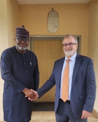 Diplomatic: Nigeria, Hungary Chat New Course in Trade, Education and Culture