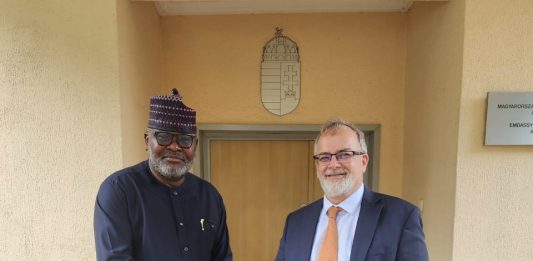 Diplomatic: Nigeria, Hungary Chat New Course in Trade, Education and Culture