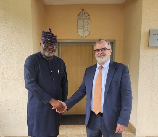 Diplomatic: Nigeria, Hungary Chat New Course in Trade, Education and Culture