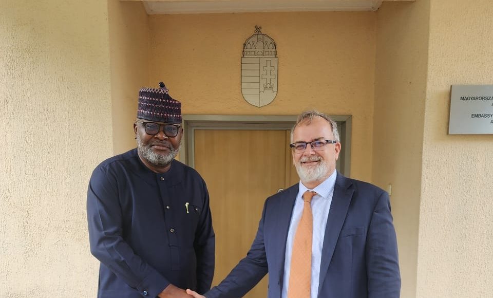Diplomatic: Nigeria, Hungary Chat New Course in Trade, Education and Culture